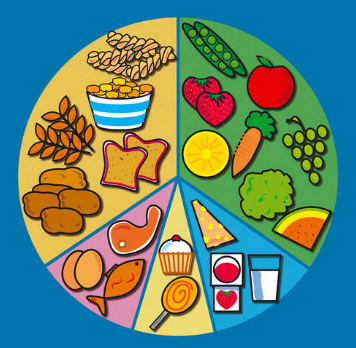 ბალანსირებული დიეტა და ჯანსაღი პროდუქტები