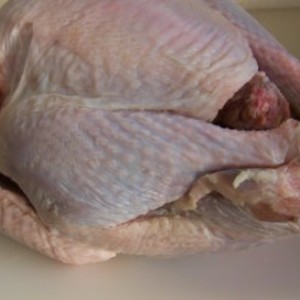 ინდაურის ხორცი