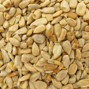 მზესუმზირა