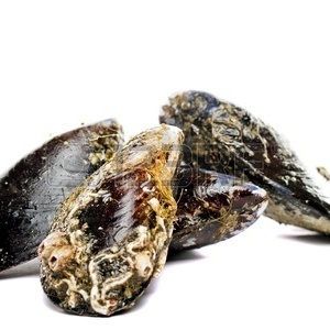 მიდიები კალორიები