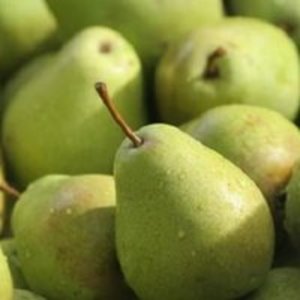 მსხალი კალორიები