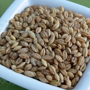 ქერი კალორიები