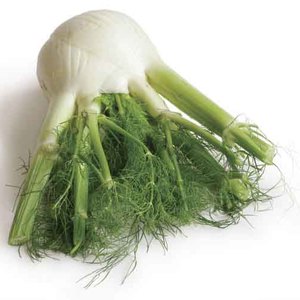 კამა (ფენხელი)