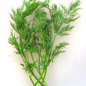 კამა კალორიები