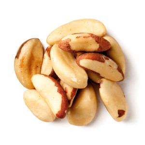 ბრაზილიური თხილი