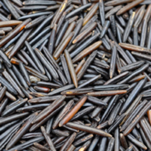 ველური ბრინჯი